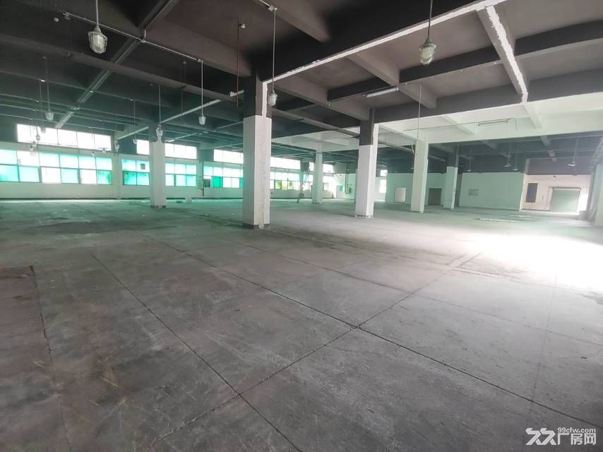 深圳市光明区楼村大型园区1一4楼共5000平,可以分租 - 7
