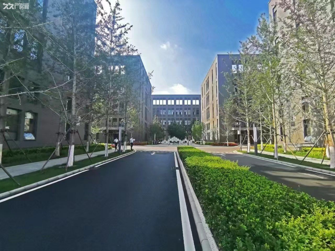 新房首推!!!生物医药基地 638平精装实验室 配3吨货梯 客货分流 拎包入住 - 8