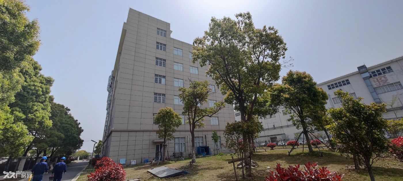 不用去日本、武汉、也不用去顾村公园在自己厂区就可以欣赏樱花的独院厂房 - 8