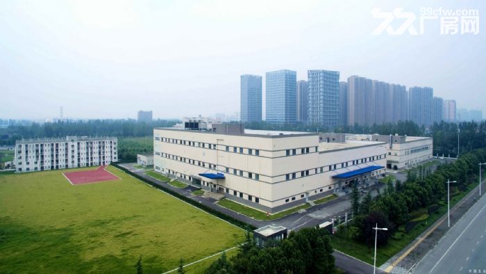 东莞市常平镇7000平方米钢架厂房出租 - 2