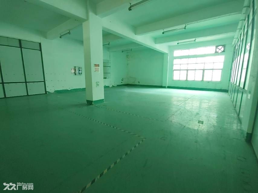 光明区凤凰街道一楼2400平 带办公室装修 - 5