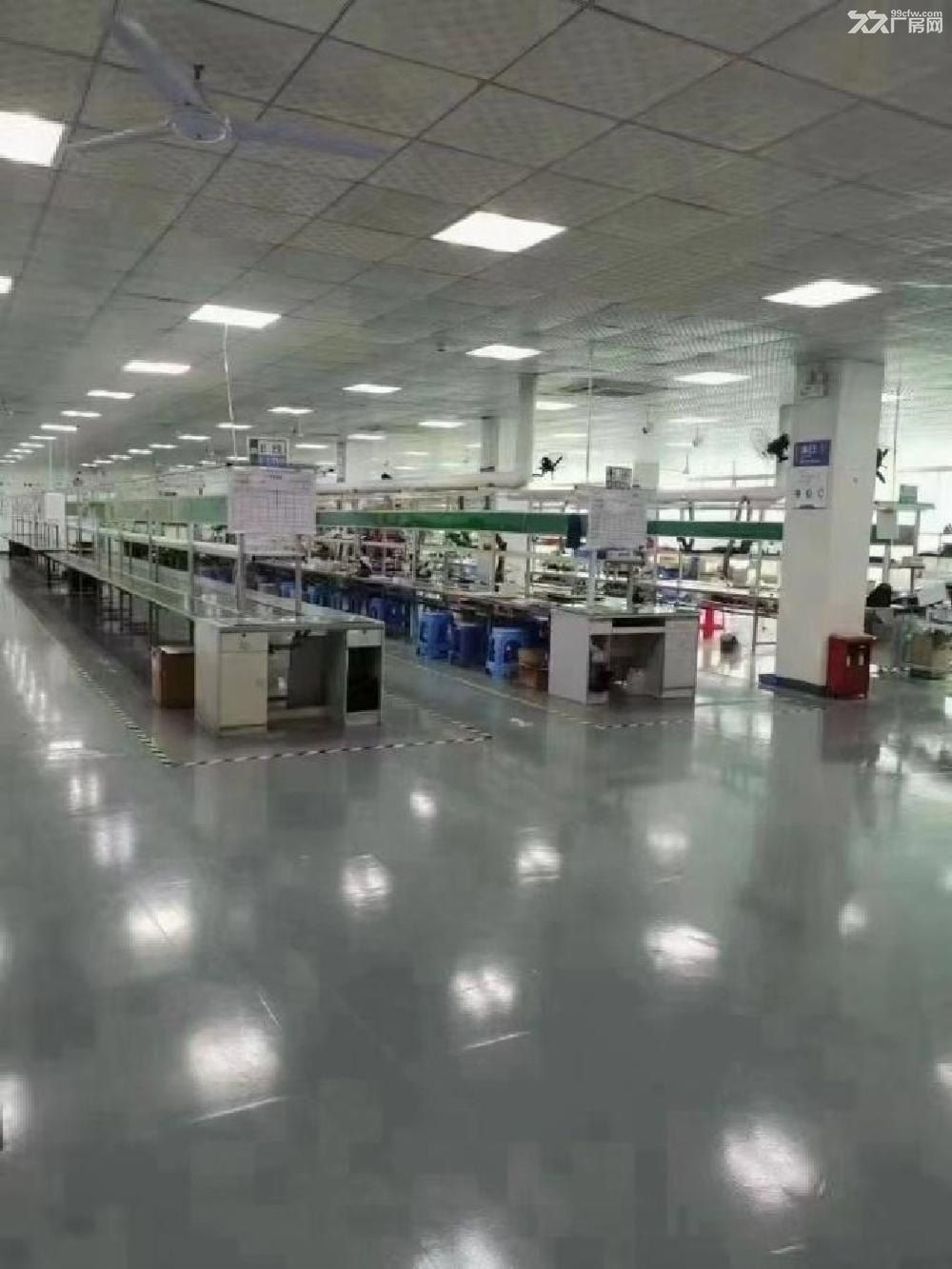 石岩塘头第三工业区独门独院12000平精装修园区形象好er - 8