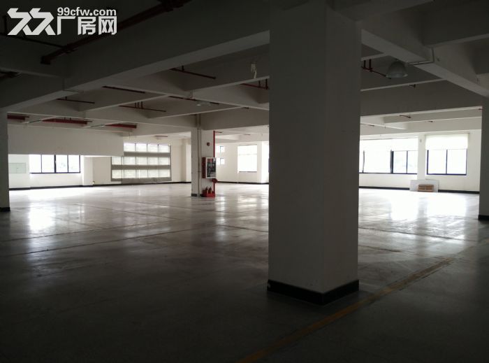 科学城500方至10000方厂房招租 - 5