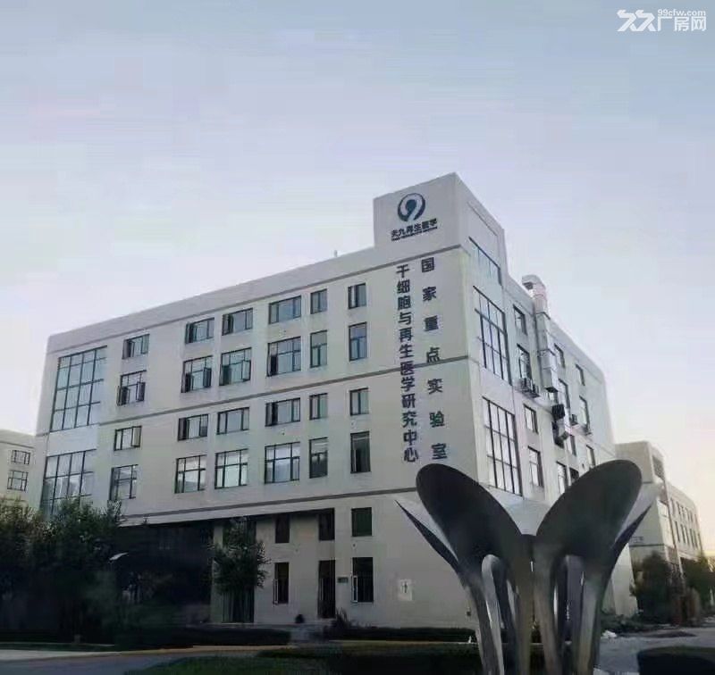 独栋2000平厂房出租