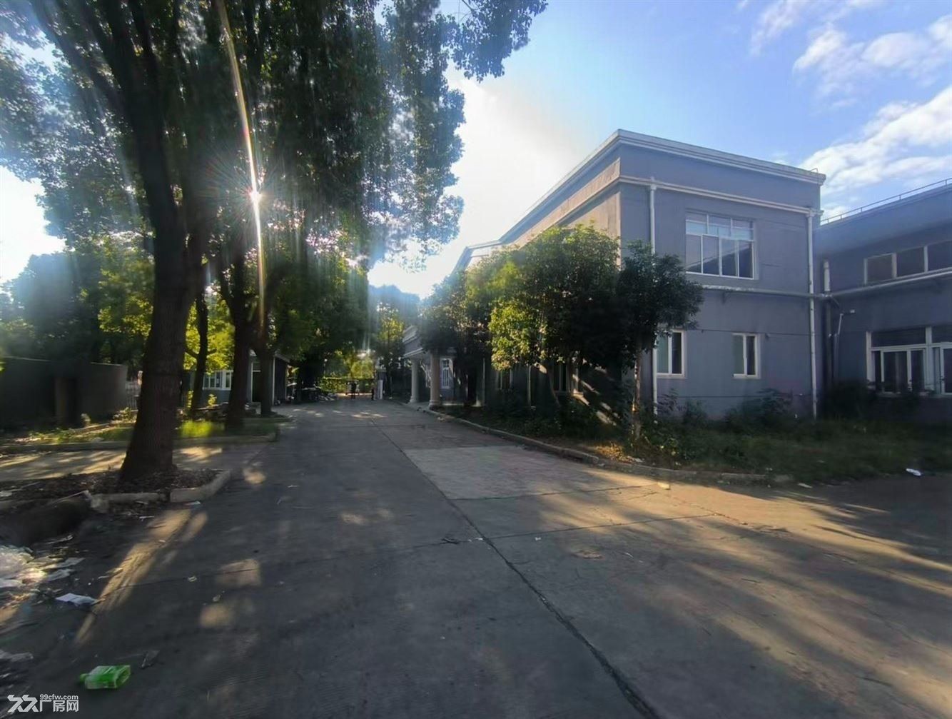 房东出租:马陆独门独院2400平 带宿舍办公 配3亩场地 一手房东 - 3