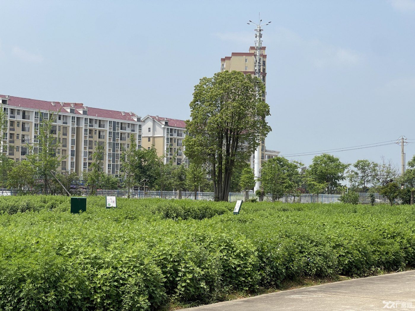 价格实惠、可直接办公生产 - 5