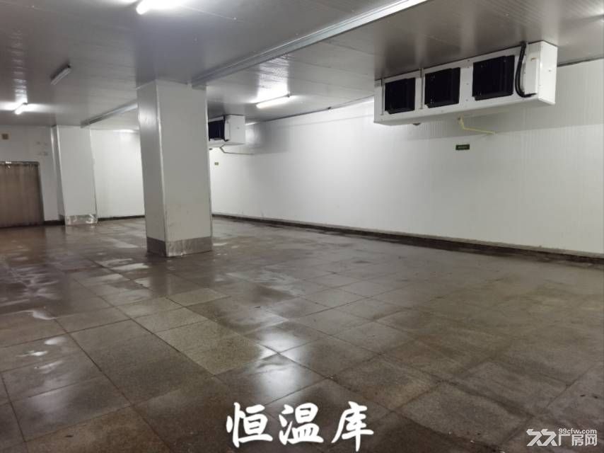 标准厂房+有产权+精装+可分租+靠近机场+ - 3