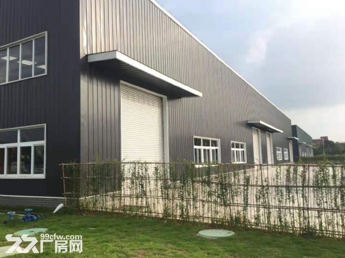 成都独门独院50年产权厂房+赠送空坝 - 5