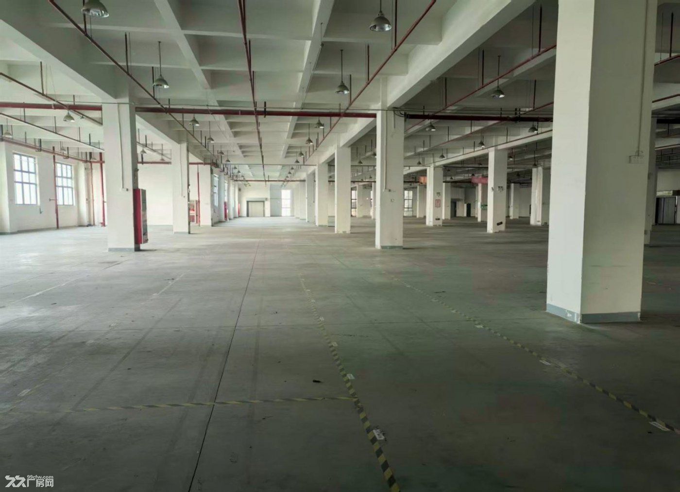 原房东独门独院 场地大 环评好办 大车好进 行业不限 形象好 - 5