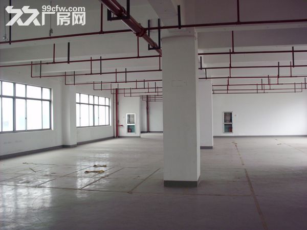 唐镇800平电商贸易组装测试电子轻加工厂房仓库出租