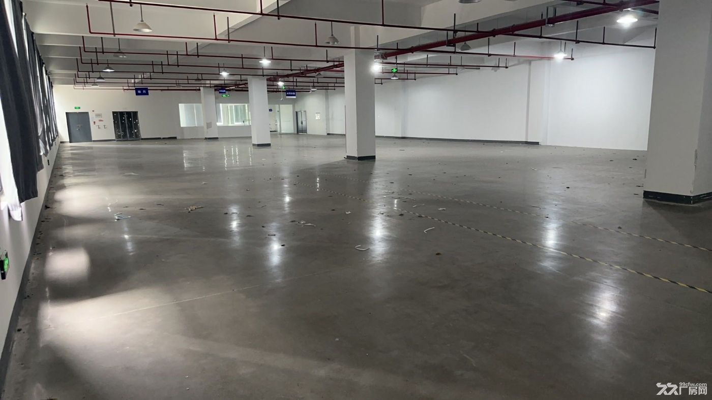 临平开发区五洲路华鼎集团新厂房一楼3300方 - 5
