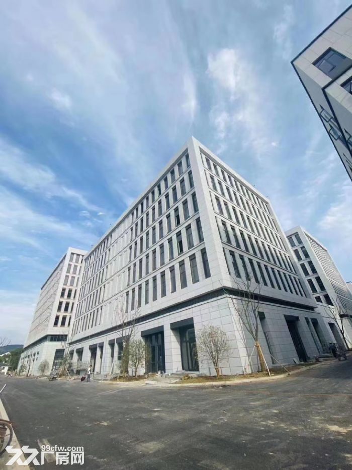 南通开发区苏通大桥标准独栋厂房出租出售