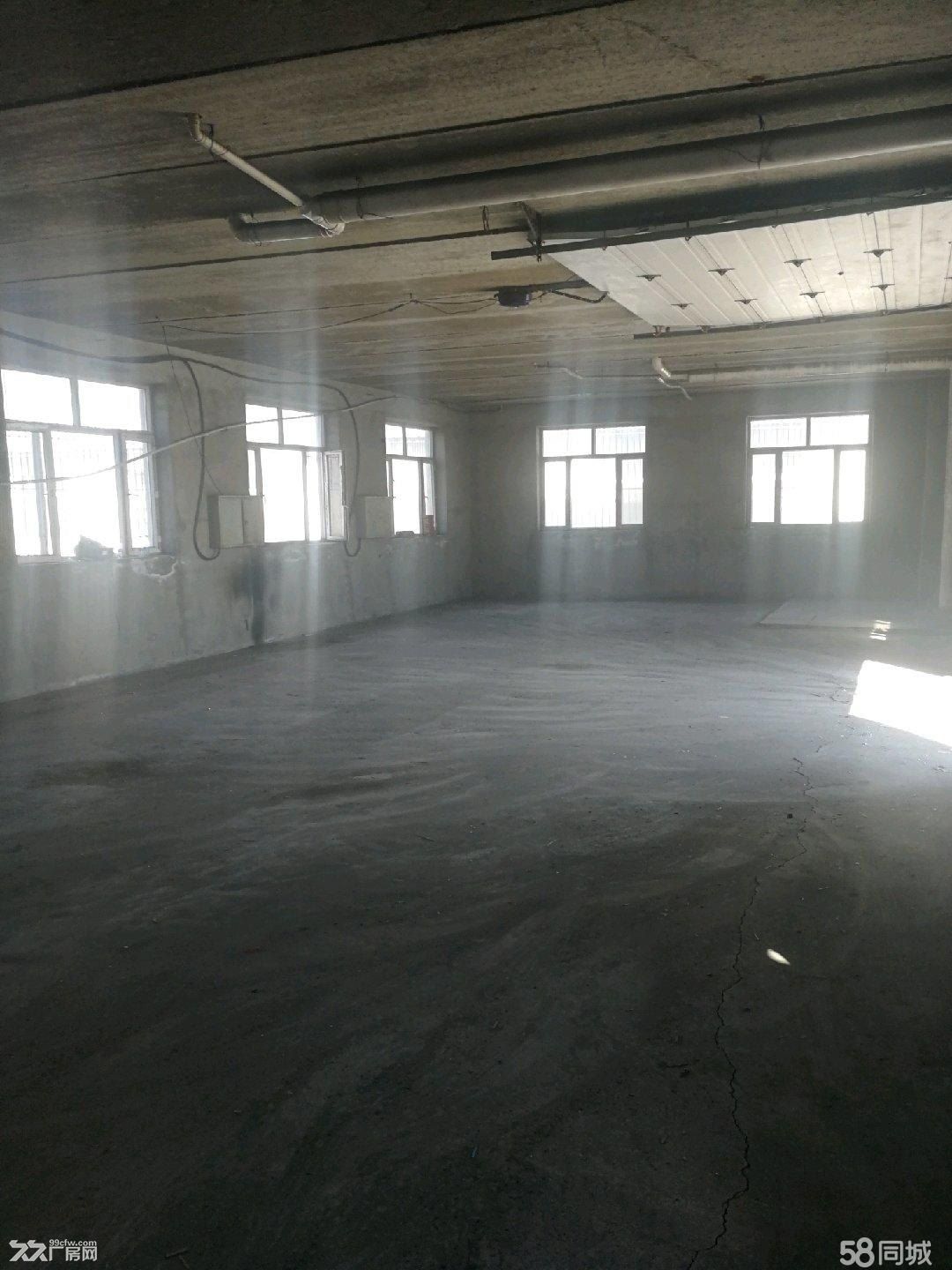 道外区团结镇东新村，东风老道，临禧龙市场近 - 5