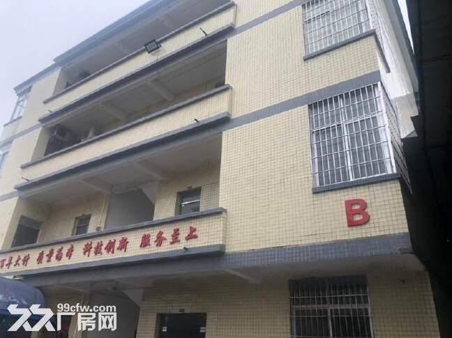花都新华莲塘工业区 独院钢构厂房3350平,价格便宜,可办环评 - 4