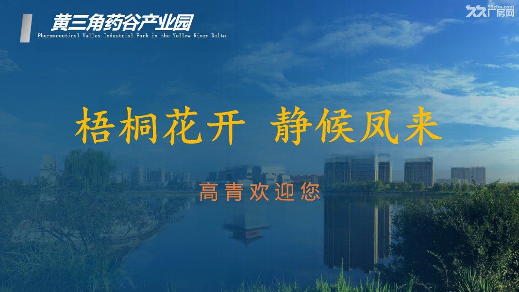 绿天使黄三角药谷产业园位于淄博高青县经济开发区 - 4