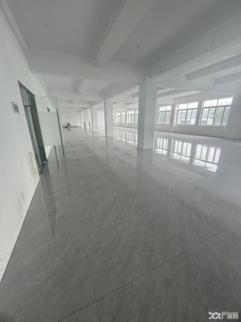 都会路颛兴东路电商小仓库办公室85平113平226平500平 - 4