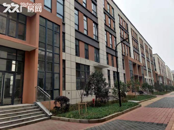 (现房)独栋厂房 配套齐全 50年产权 可贷款 - 8