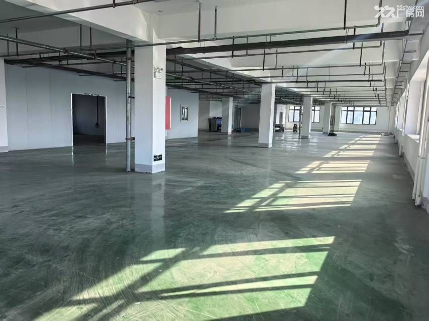 新站区标准厂房独门独院2000平可分租