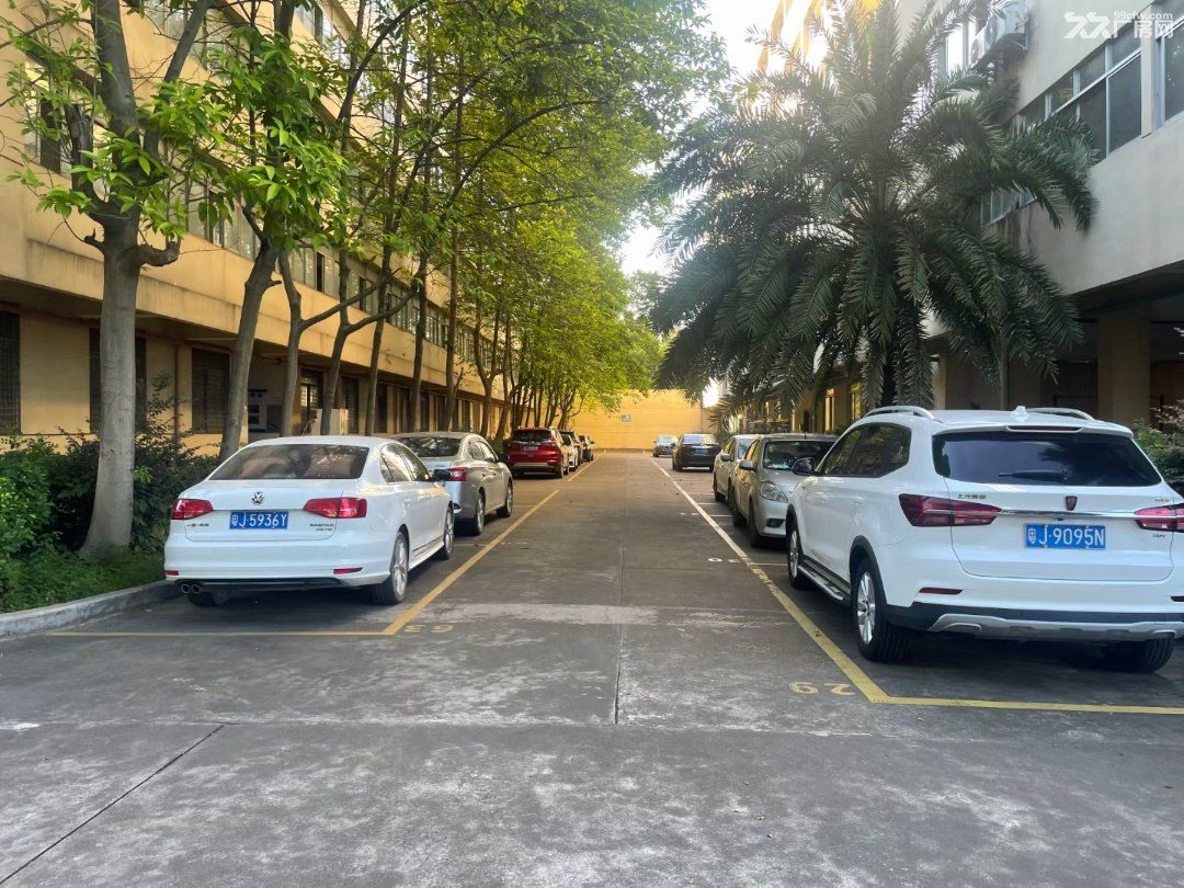 江门市蓬江区二类工业用地厂房出租 - 8