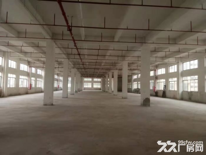 台山水步工业区标准厂房2000平方招租 - 4