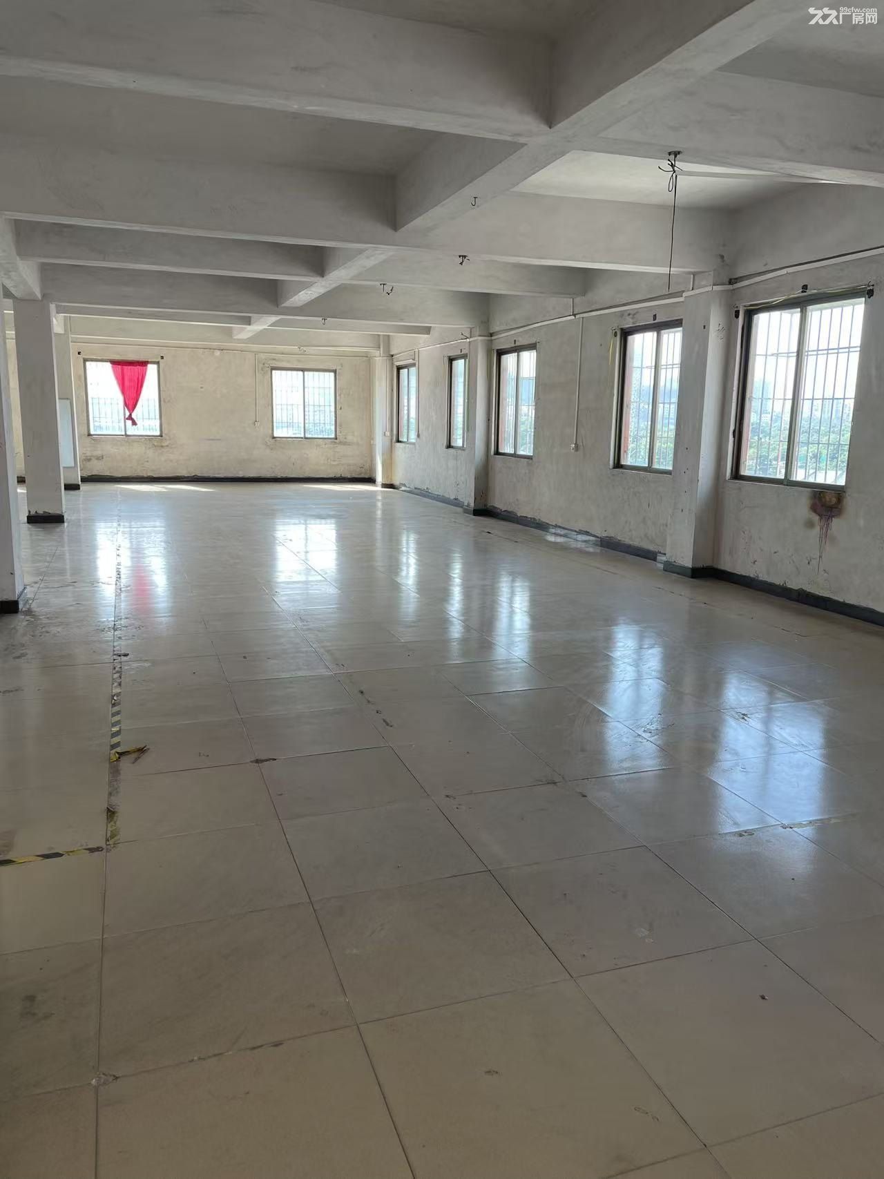 近里水一环里广路近金沙洲 村民自建 房东直租 工场装配可用 - 2