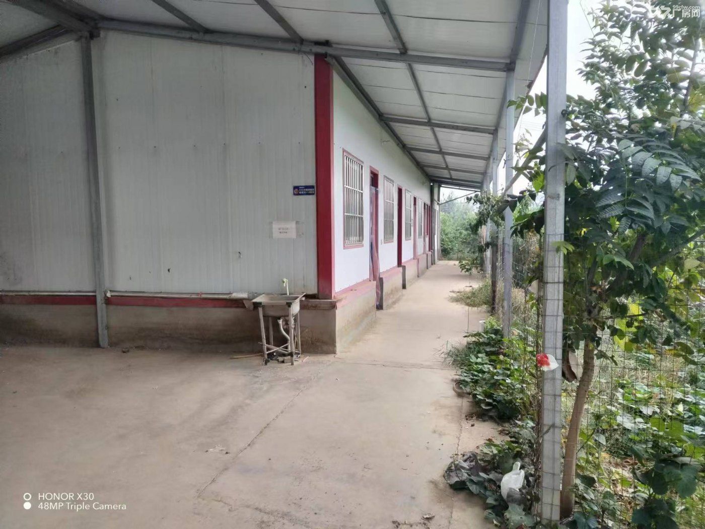 出租老窝镇星期天超市后方大厂房厂库 - 7