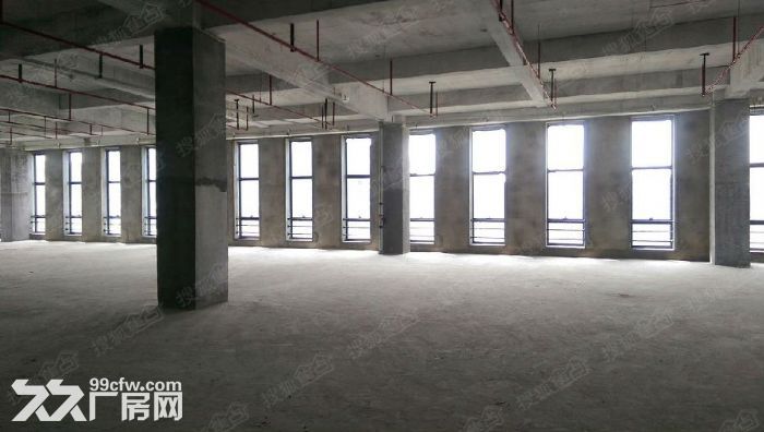 浦东金桥实验室,独门独院,104地块,研发中心,数据中心,医疗器械生产均可 - 4