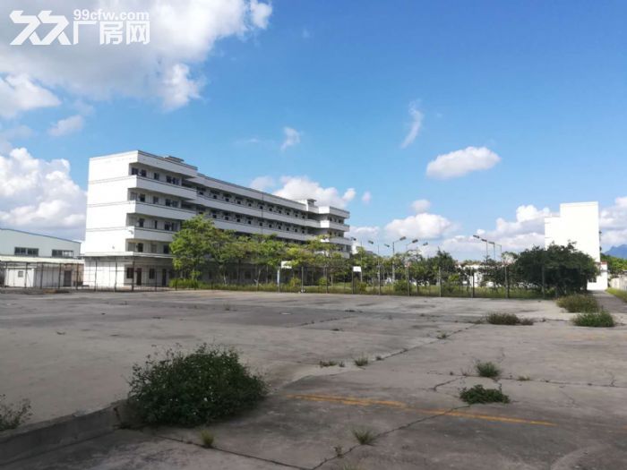 新会大泽可做任何重工业、喷粉，压铸！红木家具！5万平方工业园分租 - 2