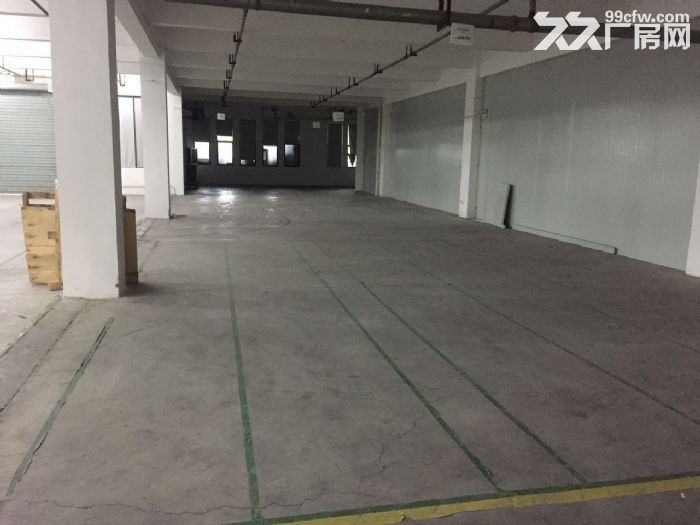 滨文路一楼1200方,层高6米,适合展厅摄影科技类 - 2