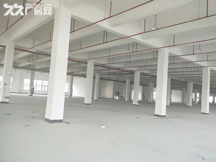 AA(低价出租)苏虹中路单层标准厂房 交通方便