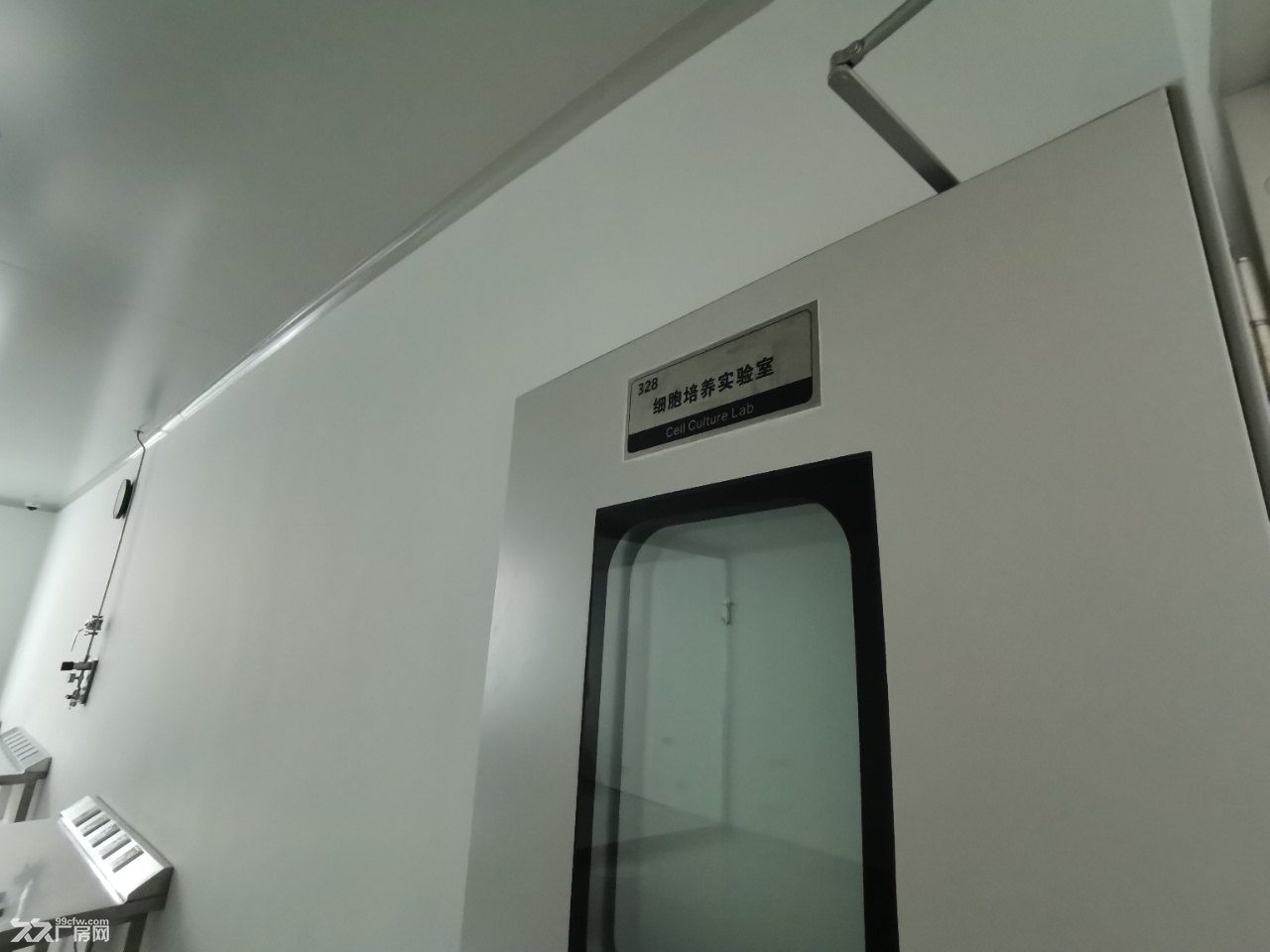 张江科学城 药谷区域 整层精装实验室 超高得房率 实景拍摄 - 8
