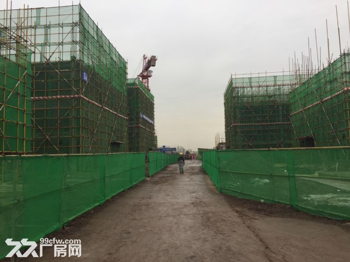 双福独栋办公、仓库、沿街仓库出售 - 6