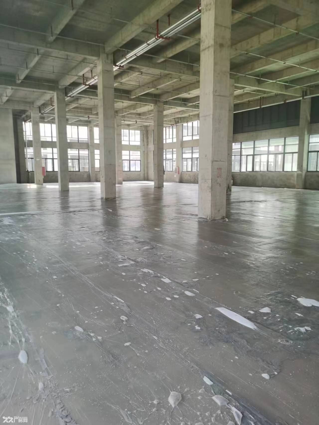 首付三层 总价低 独门独院厂房标准厂房 可环评 - 3