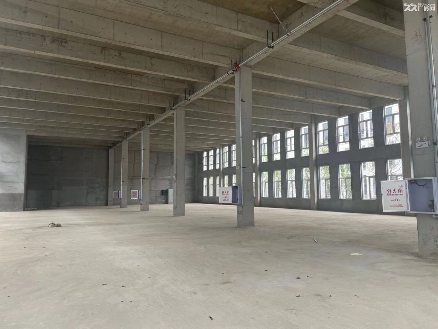 蔡甸单层钢构厂房出售,层高12米,50年产权,首付2成 - 3