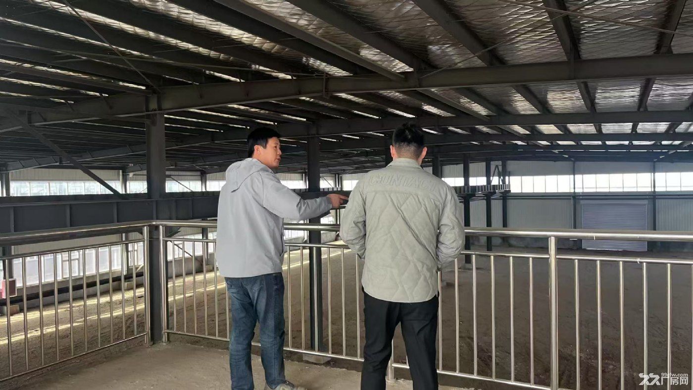 新建单层厂房带院子张建齐全 交通便利 - 2