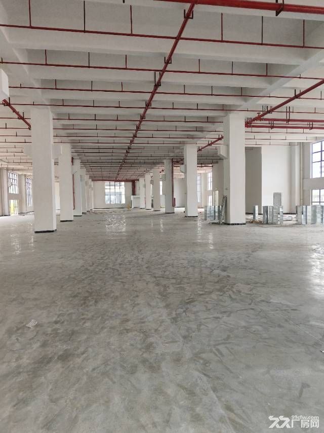 惠州市博罗县石湾镇最新独院厂房出租56000平方,金刚砂地面 - 7