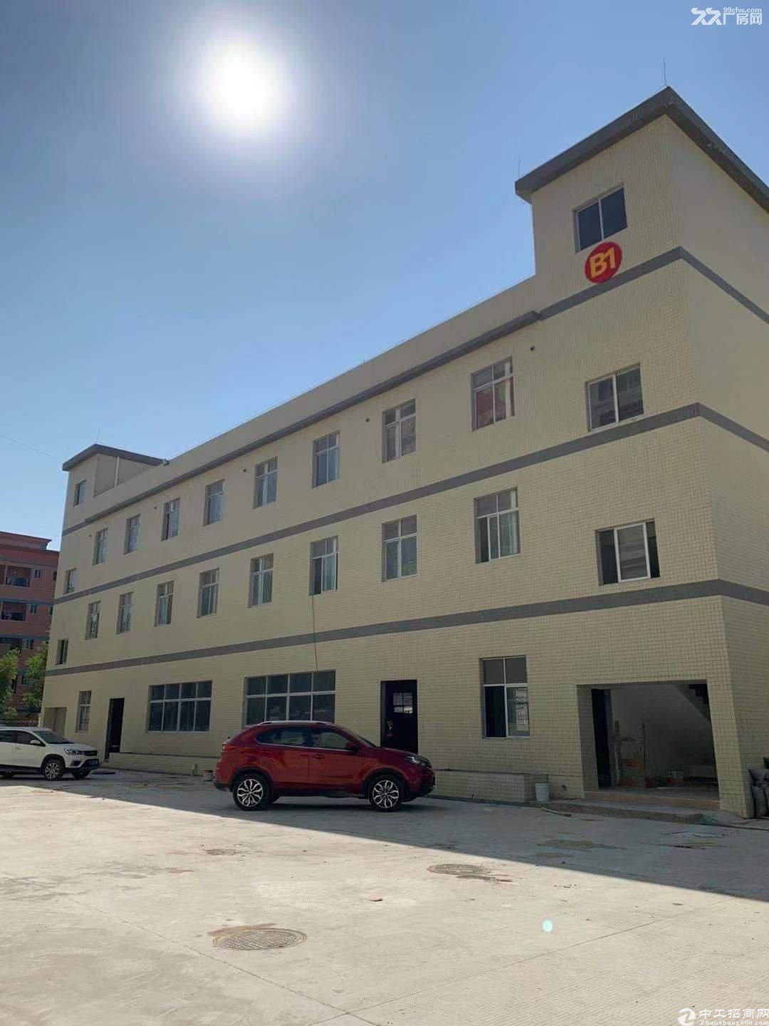 丽华采华路700平方厂房出租
