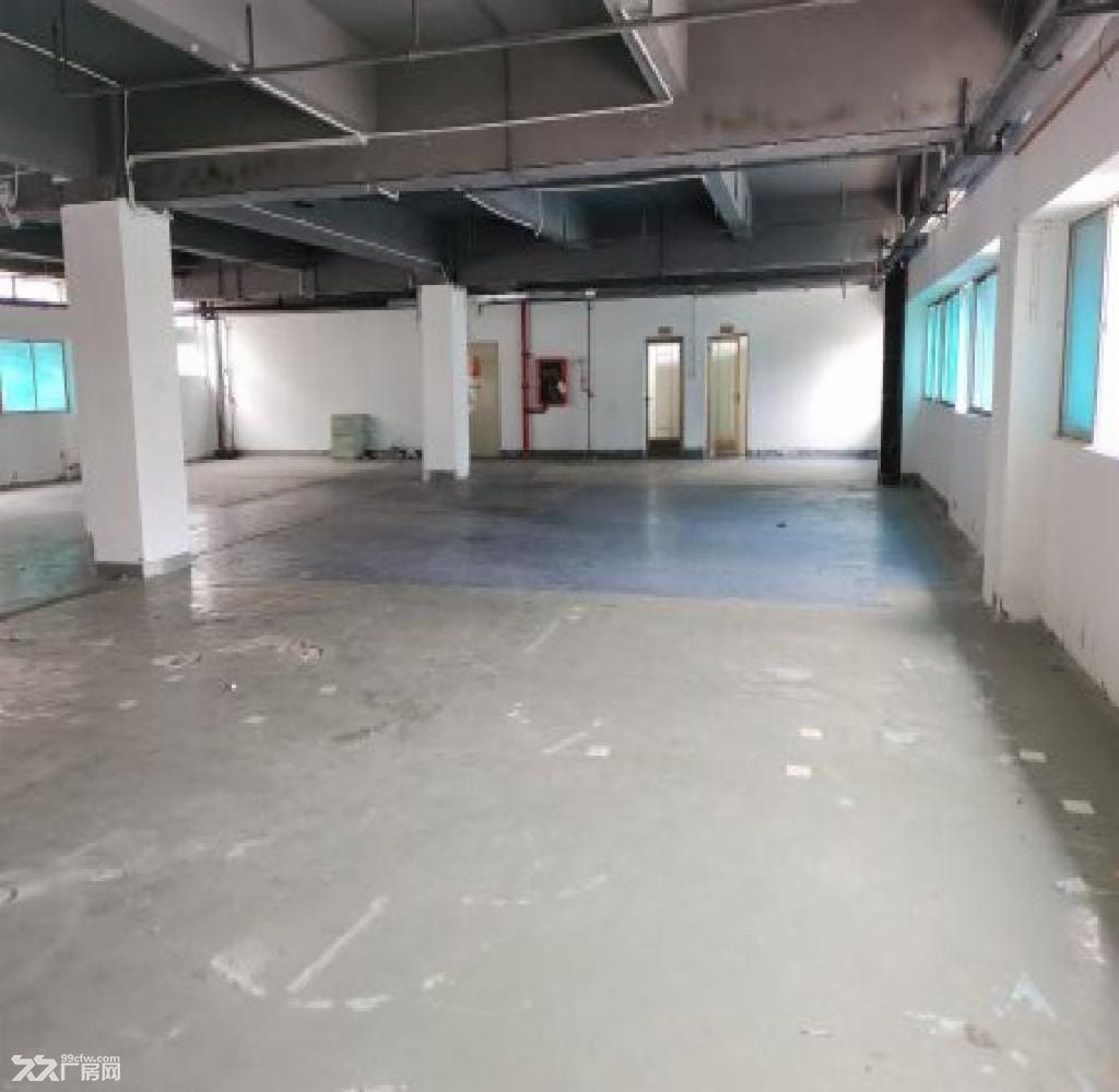 石岩水田工业园原房东精装修厂房380平厂房仓库出租wh - 7