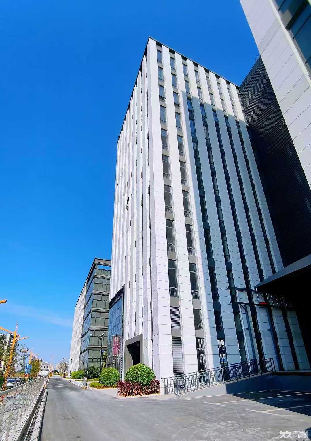 凤岗全新工业厂房出售面积1200平起,开发商直售 - 3