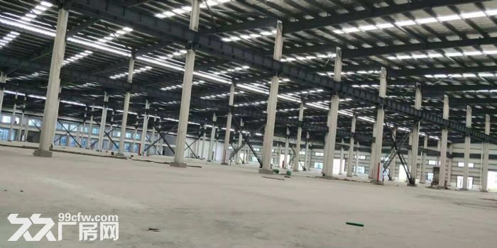 出租翔安马巷巷北工业区标准钢构厂房5000平可分割 - 3
