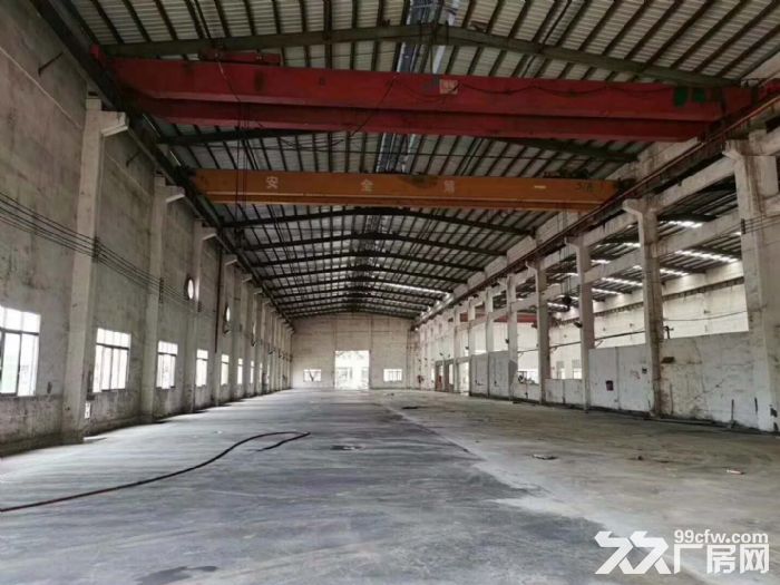 江门工业园可做污染行业有环评厂房出租 - 3