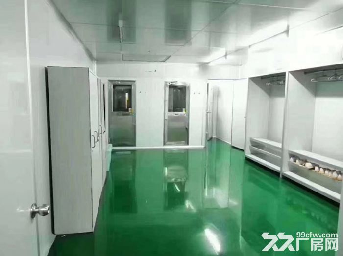 龙华大浪商业中心附近无尘车间1800平招租，红本厂房，无转让费 - 7