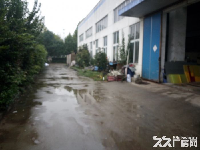 竹山路1500平方米厂房出租,高9米 1号线地铁旁,交通方便
