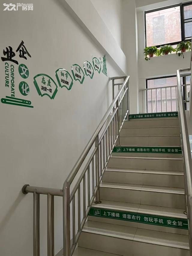 标准厂房+有产权+精装+可分租+靠近机场+ - 4