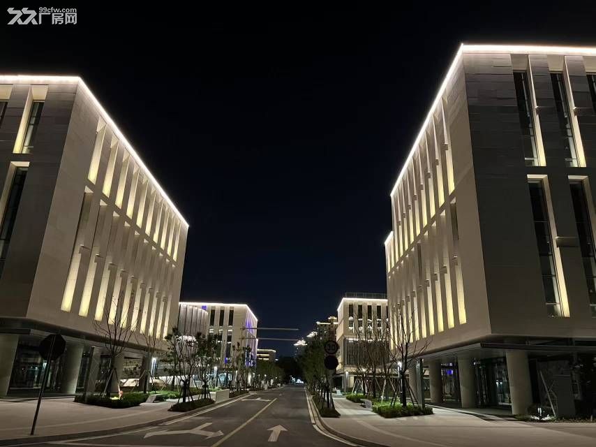 嘉兴秀洲区全新国资园区招商 - 5
