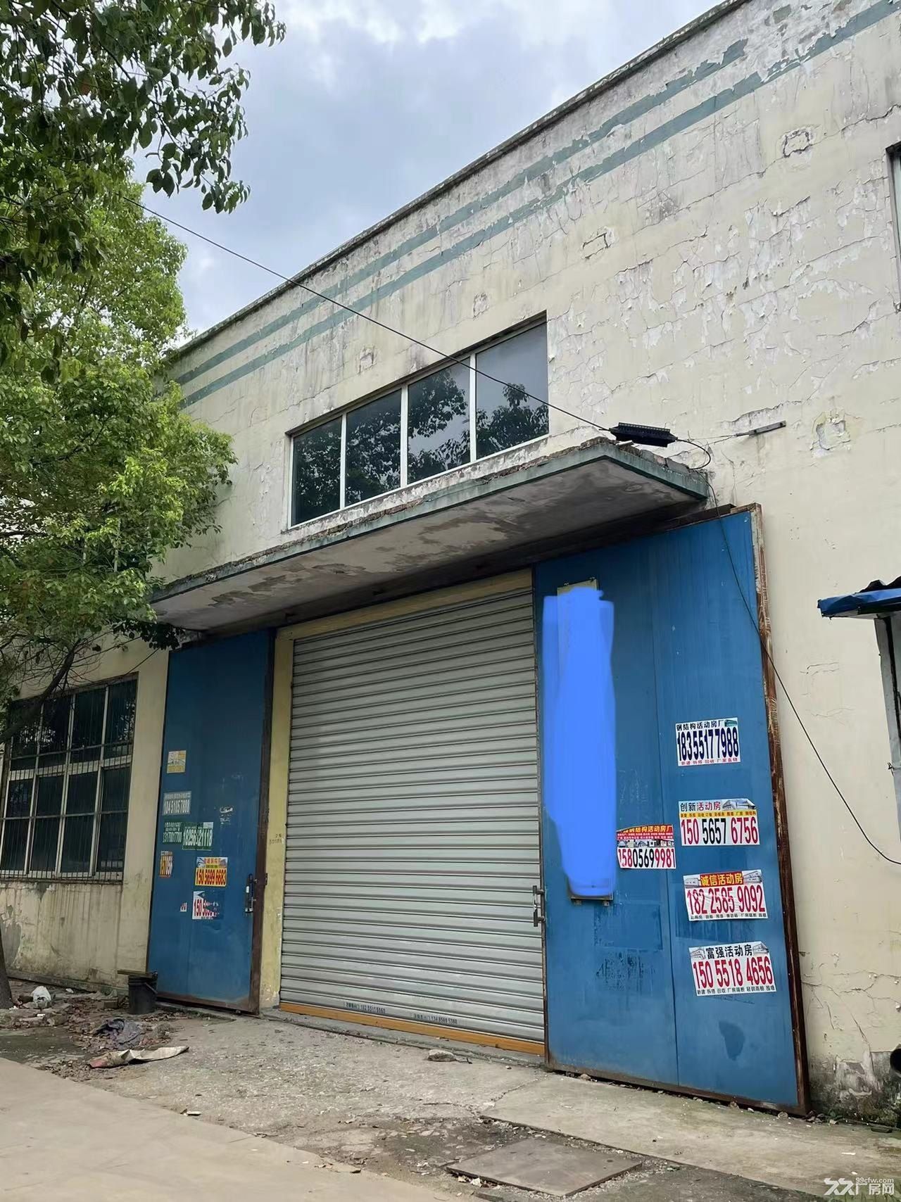 出租新站区磨店工业园710平方米标准厂房价优