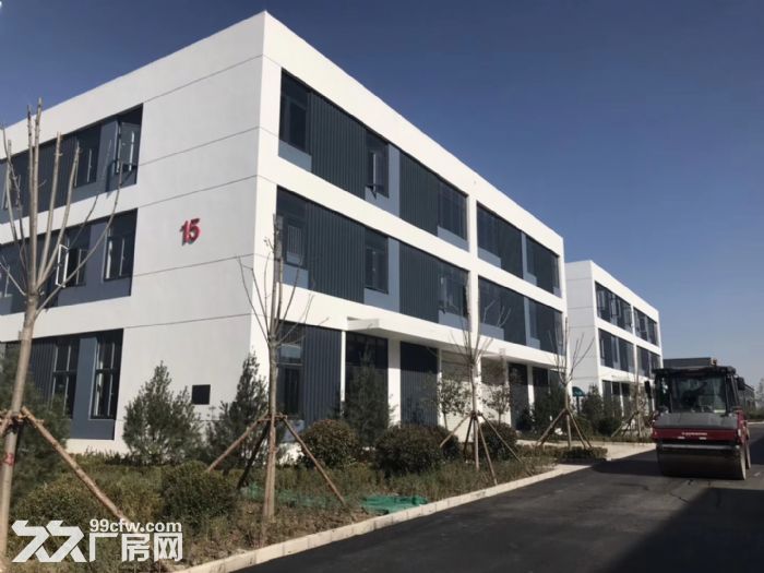 钢筋混凝土框架结构标准独栋厂房，层高7.8米，50年大产权，低首付可按揭！ - 4
