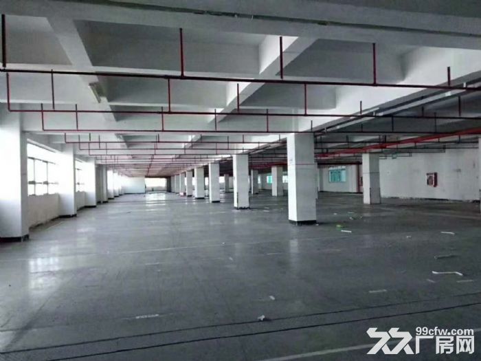 南山马家龙工业区100-2500平厂房仓库直租 - 3