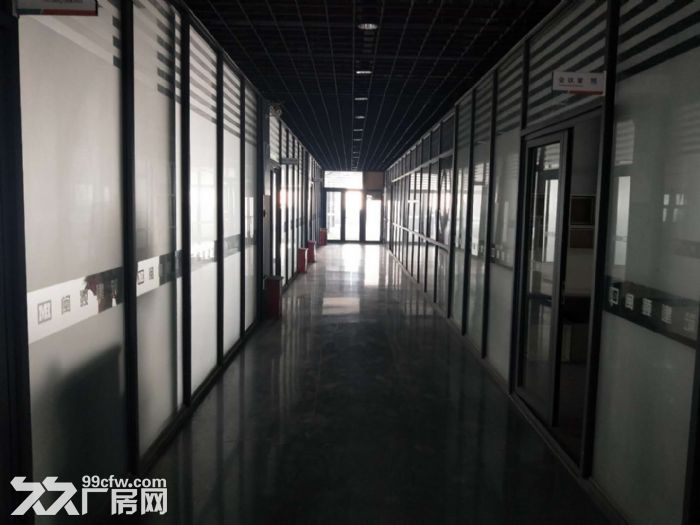 翔安火炬园火炬二期正规钢结构厂房13500平火爆招商 - 5