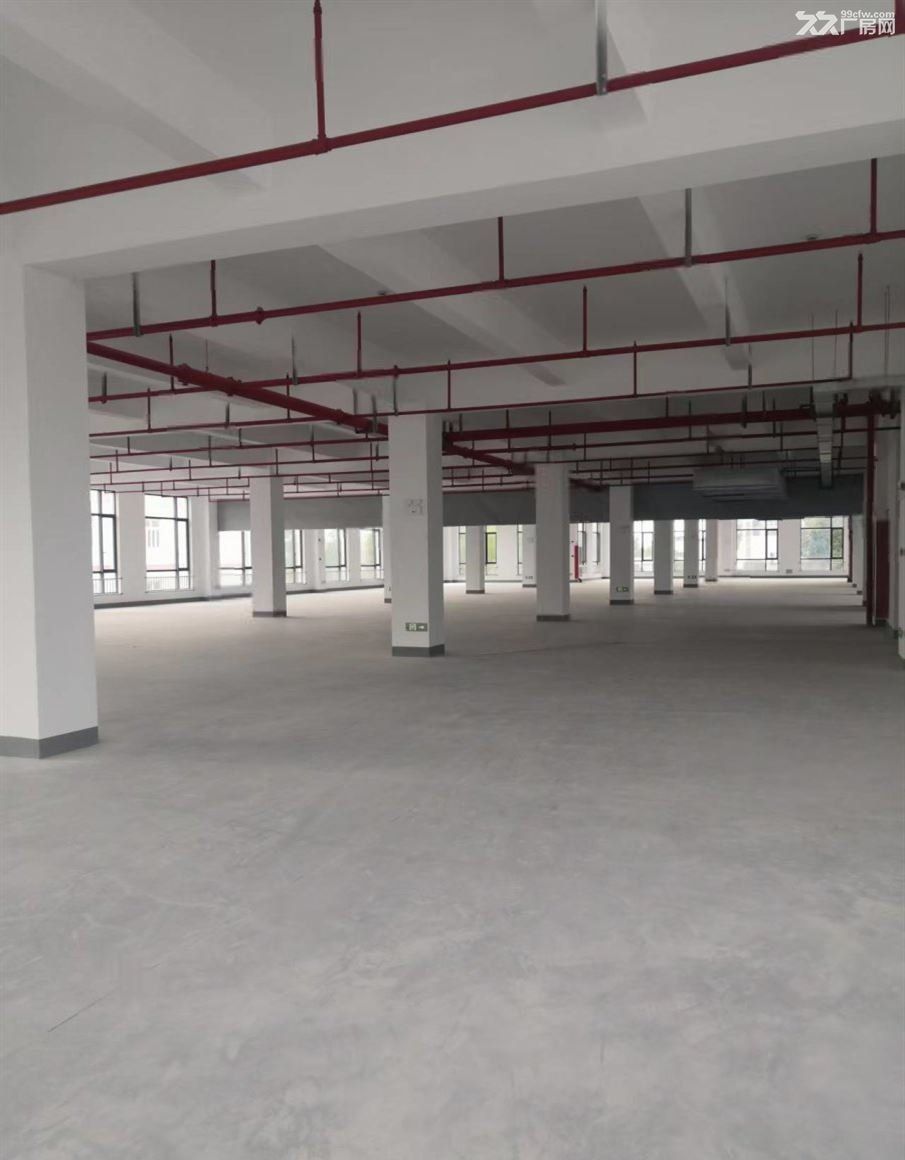 房东直租:青浦工业园区 独门独院纽珑科创园区 老板直租厂房 大车好进 - 8